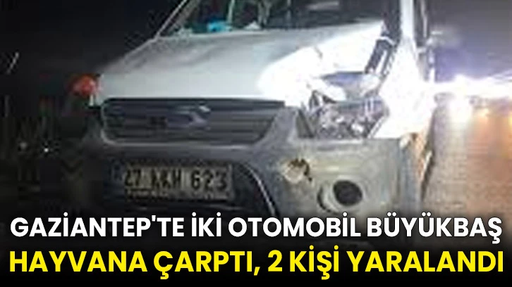 Gaziantep'te iki otomobil büyükbaş hayvana çarptı, 2 kişi yaralandı