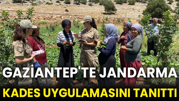 Gaziantep'te jandarma KADES uygulamasını tanıttı