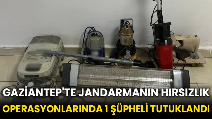 Gaziantep'te jandarmanın hırsızlık operasyonlarında 1 şüpheli tutuklandı