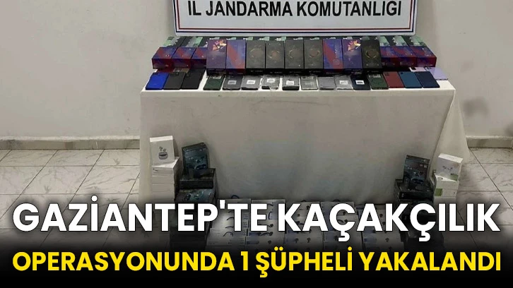 Gaziantep'te kaçakçılık operasyonunda 1 şüpheli yakalandı