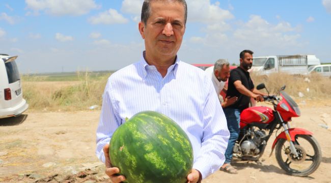 Gaziantep'te karpuz  2 TL yerinde 50 kuruş