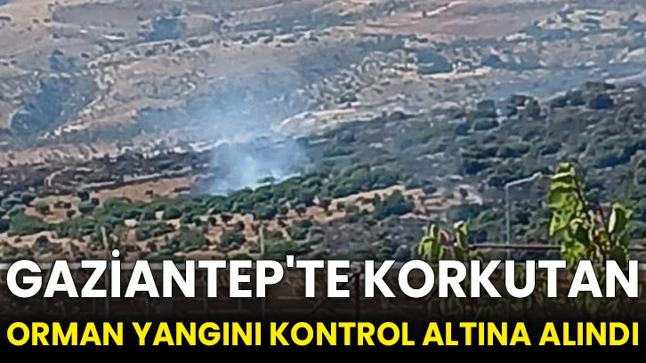 Gaziantep'te korkutan orman yangını kontrol altına alındı