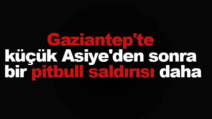 Gaziantep'te küçük Asiye'den sonra bir pitbull saldırısı daha