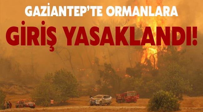 Gaziantep’te ormanlara giriş yasaklandı!