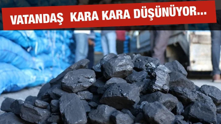 Vatandaş  Kara Kara Düşünüyor...