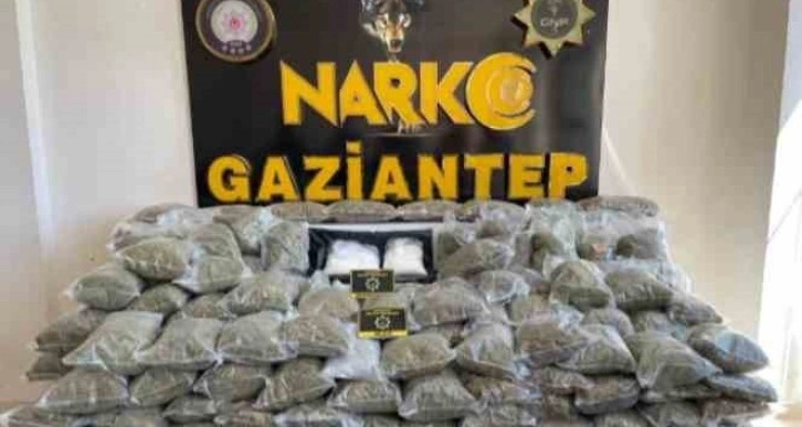 Gaziantep’te 80 kilo skunk ele geçirildi