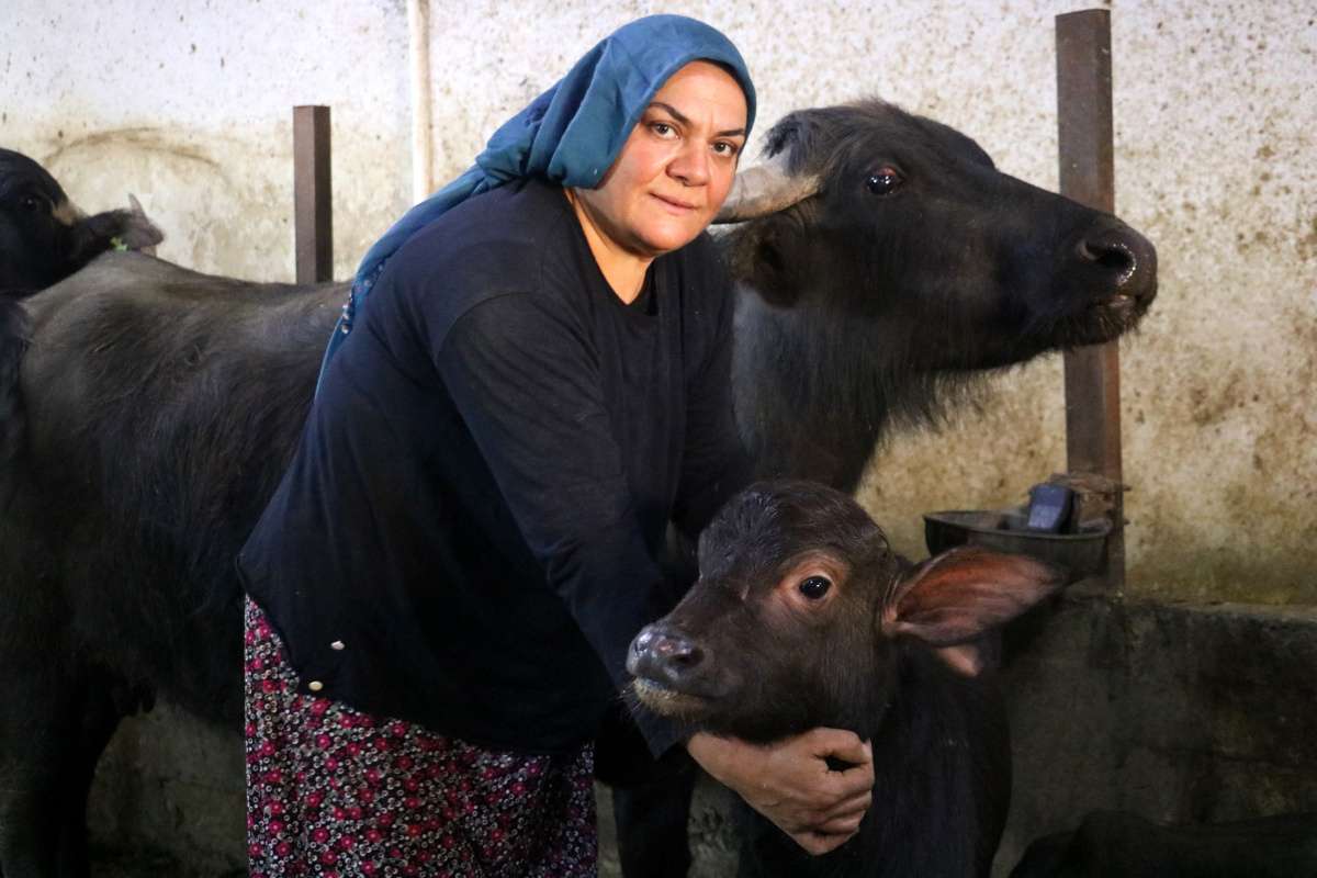 Gelin geldiği köyde çiftlik kurdu