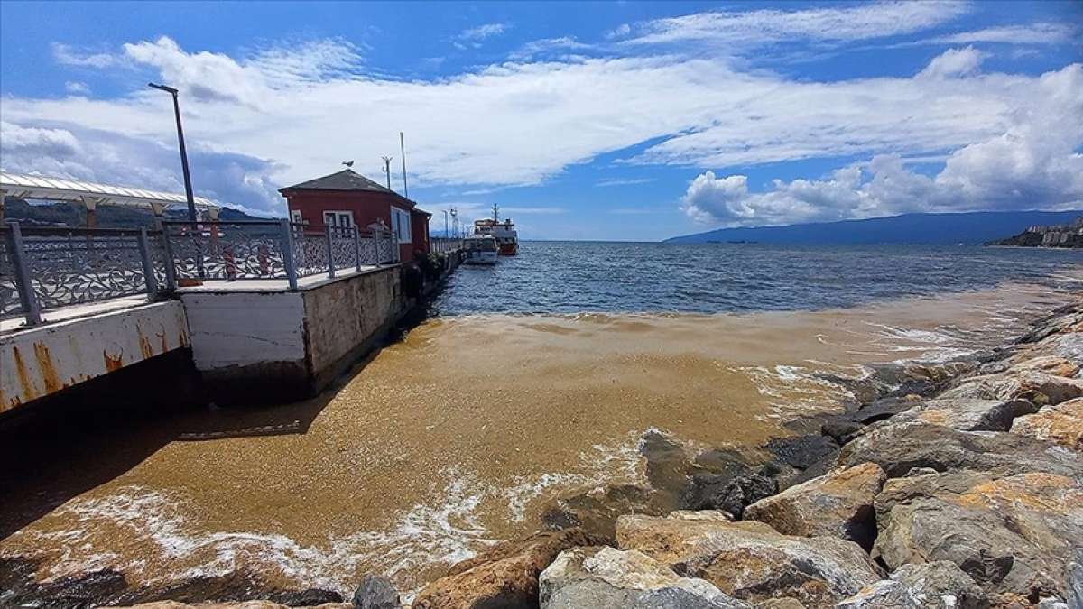 Gemlik Körfezi'nde deniz salyası kıyı bölgelerde yoğunlaştı