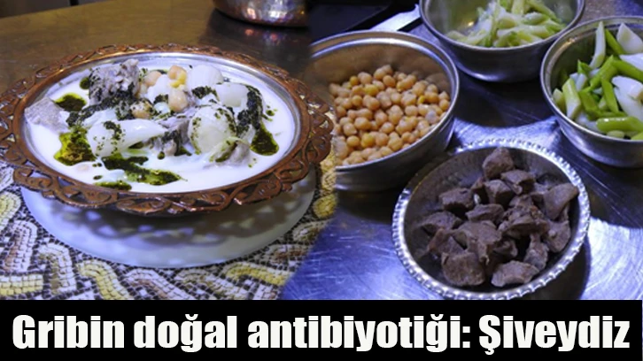 Gribin doğal antibiyotiği: Şiveydiz