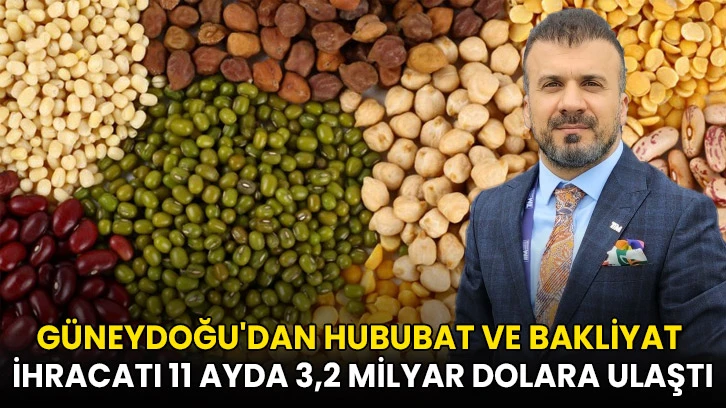 Güneydoğu'dan hububat ve bakliyat ihracatı 11 ayda 3,2 milyar dolara ulaştı