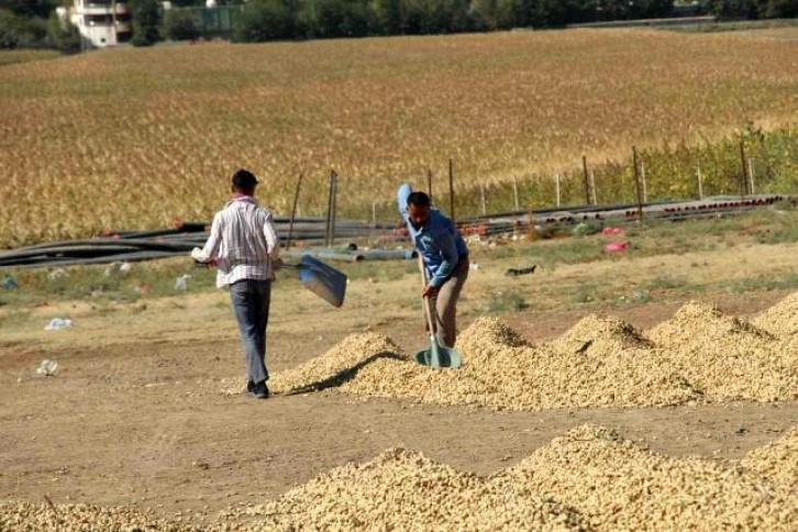 Güven ve huzur ortamı Şırnak'a yaradı