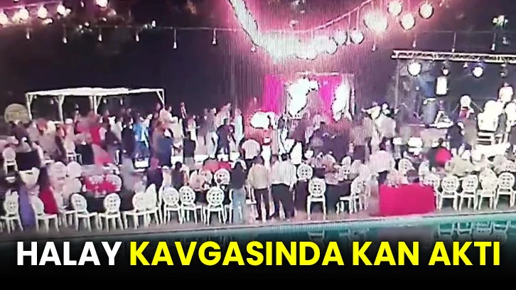 Halay kavgasında kan aktı