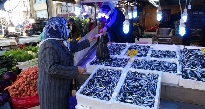 Hamsinin peşinden bu kez Gürcistan'a değil İğneada'ya gittiler