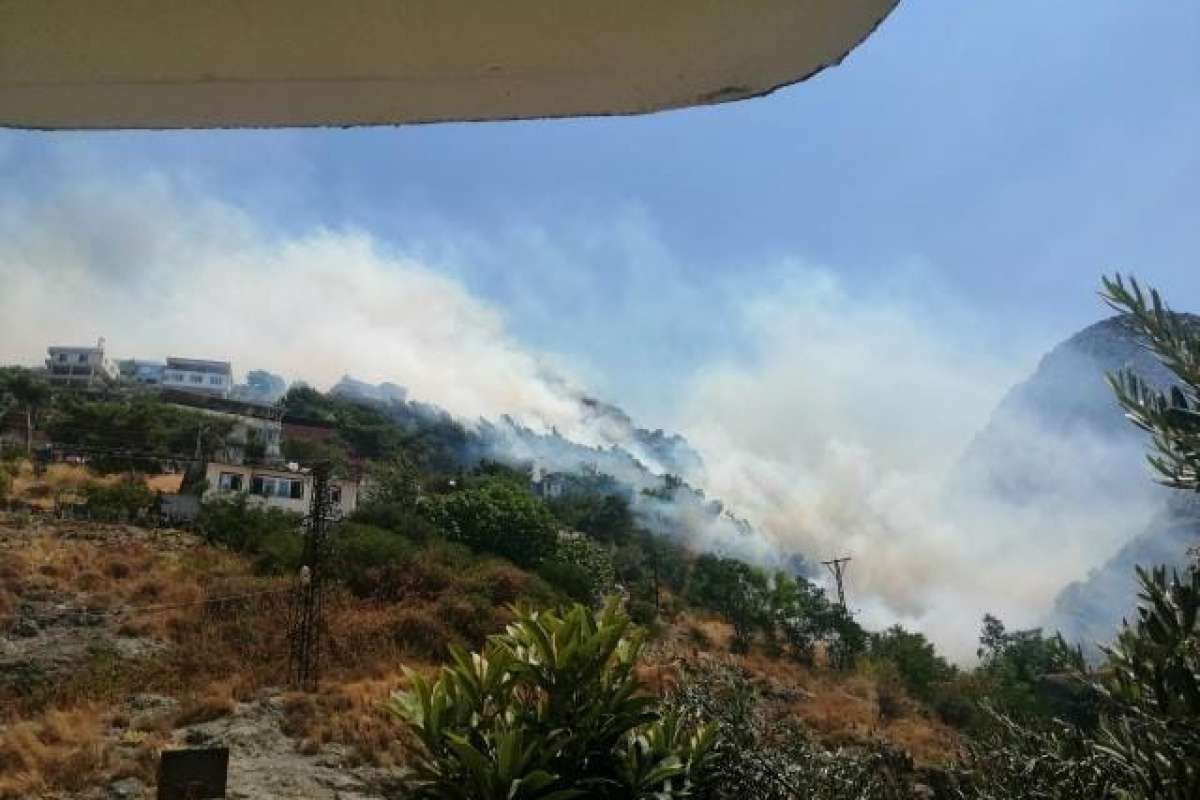 Hatay'da orman yangını: Alevler evlere sıçradı