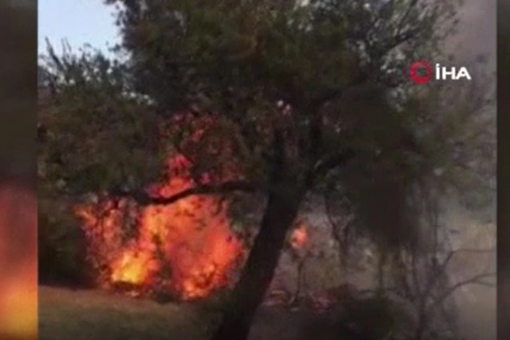 Hatay'da ormanlık alanda başlayıp zeytin bahçesine sıçrayan yangın söndürüldü