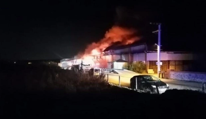 Hatay’da soğuk hava deposunda korkutan yangın