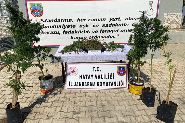 Hatay’da uyuşturucu operasyonuna 1 tutuklama