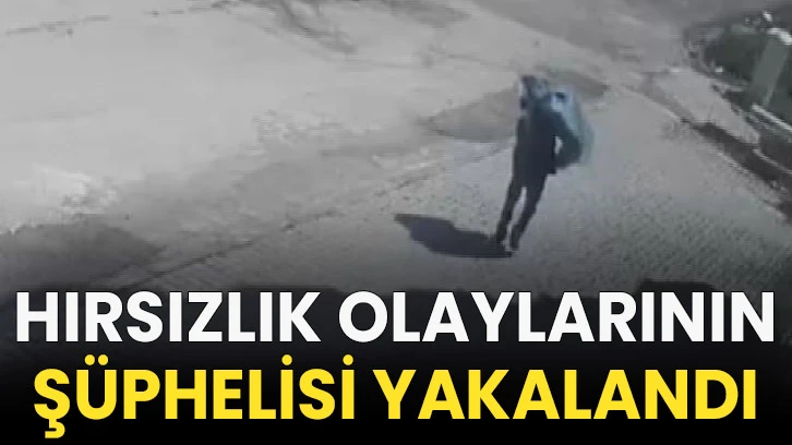 Hırsızlık olaylarının şüphelisi yakalandı