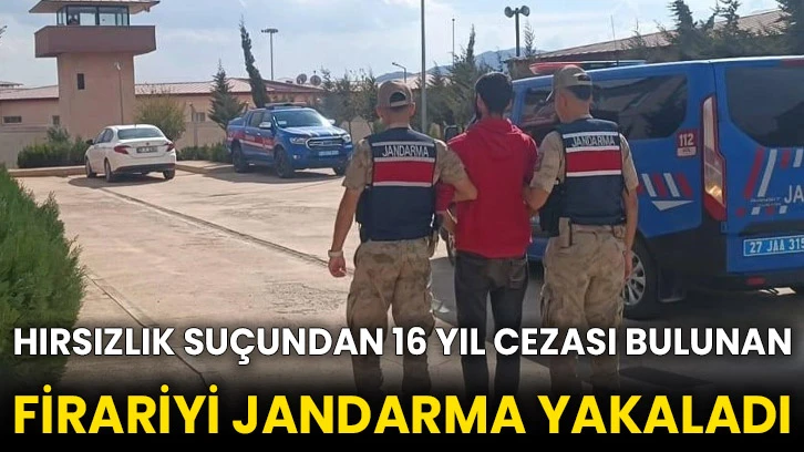 Hırsızlık suçundan 16 yıl cezası bulunan firariyi jandarma yakaladı