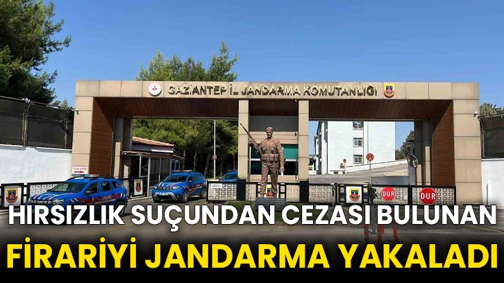 Hırsızlık suçundan cezası bulunan firariyi jandarma yakaladı