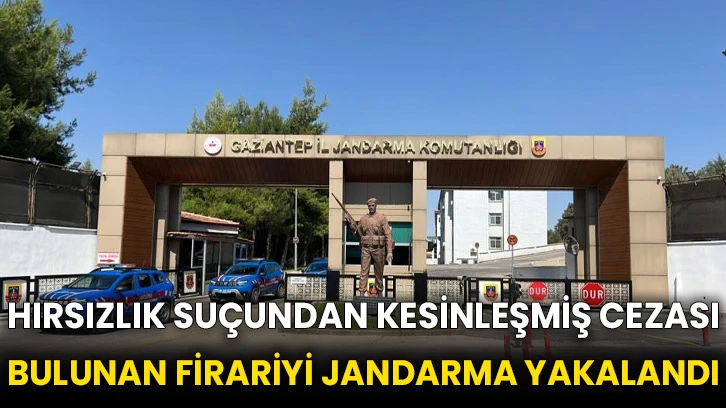 Hırsızlık suçundan kesinleşmiş cezası bulunan firariyi jandarma yakalandı