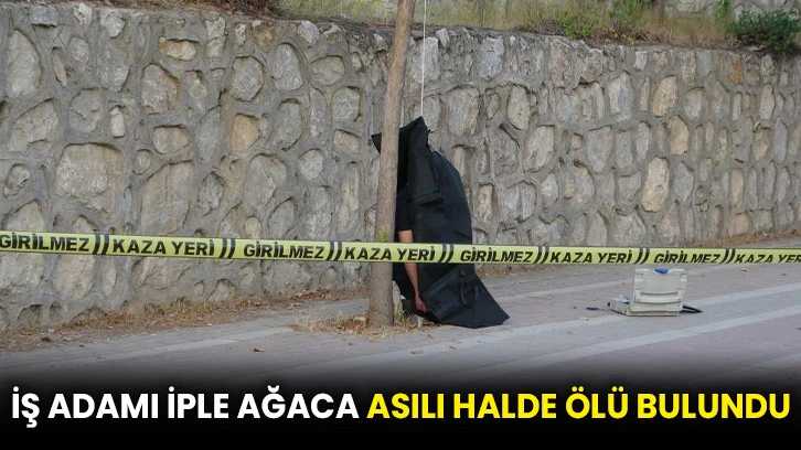 İş adamı iple ağaca asılı halde ölü bulundu