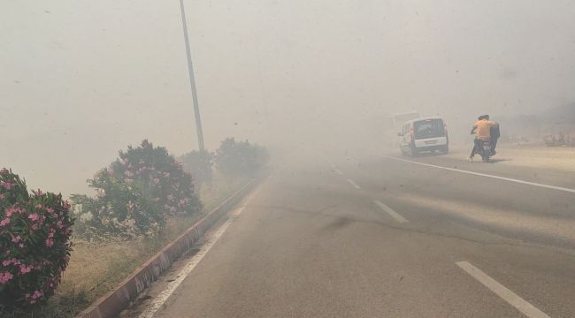 İslahiye’de anız yangını trafiği durdurdu