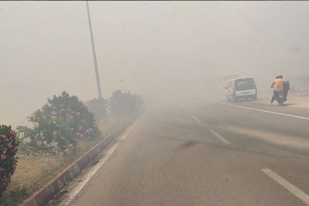 İslahiye'de anız yangını trafiği durdurdu