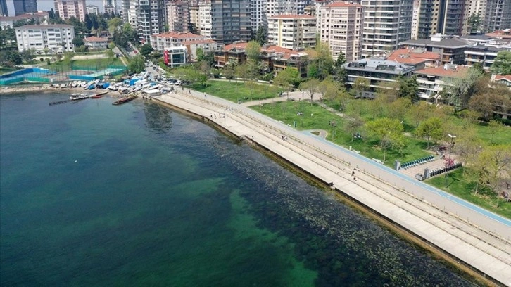 İstanbul'da bazı sahillerde müsilaj benzeri kirlilik görüldü