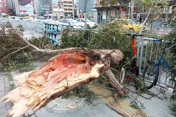 İzmir'de fırtına hayatı olumsuz etkiledi