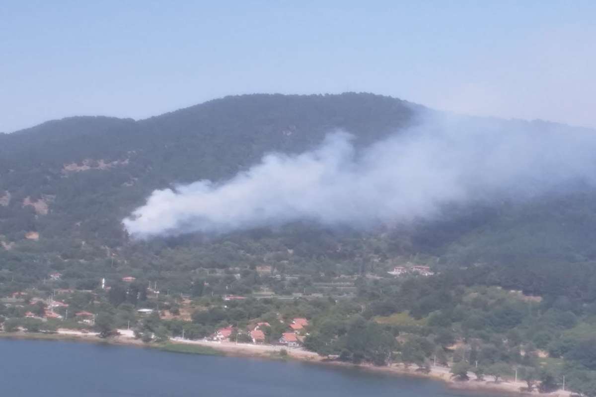 İzmir'de orman yangını