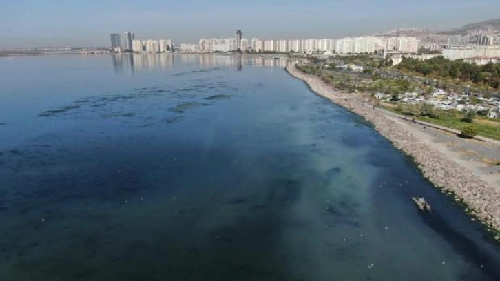 İzmir'den yine pis kokular geliyor... Bostanlı sahilinde yeniden ortaya çıktı