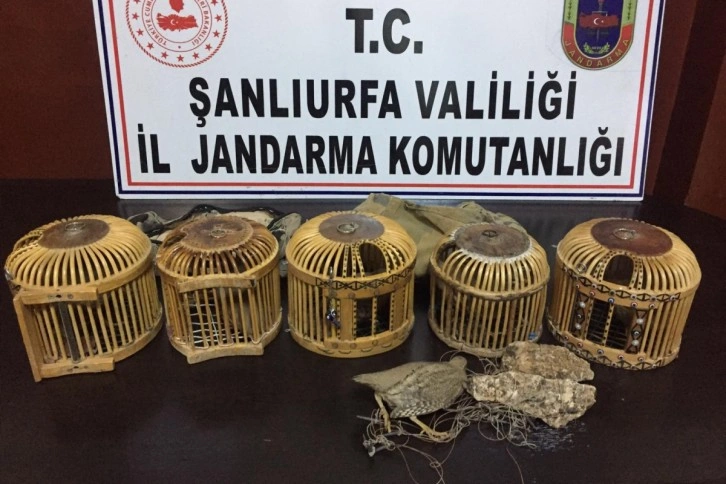 Jandarmadan keklik avcılarına suçüstü