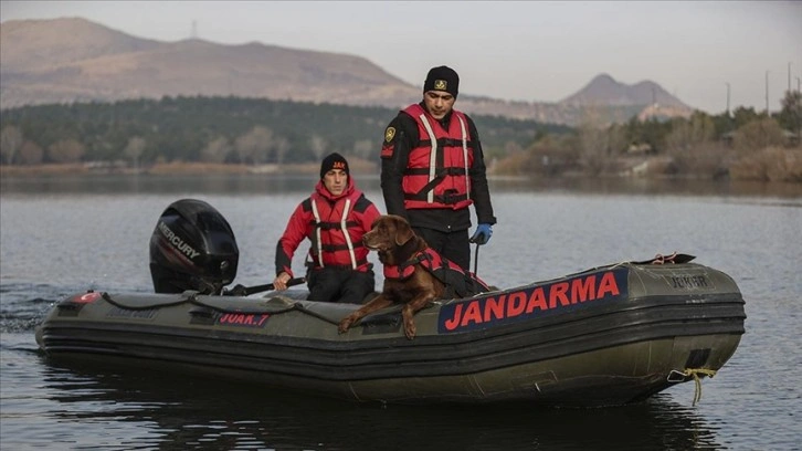 Jandarmanın su altı arama köpekleri, derindeki kayıp cesetlerin yerini tespit ediyor