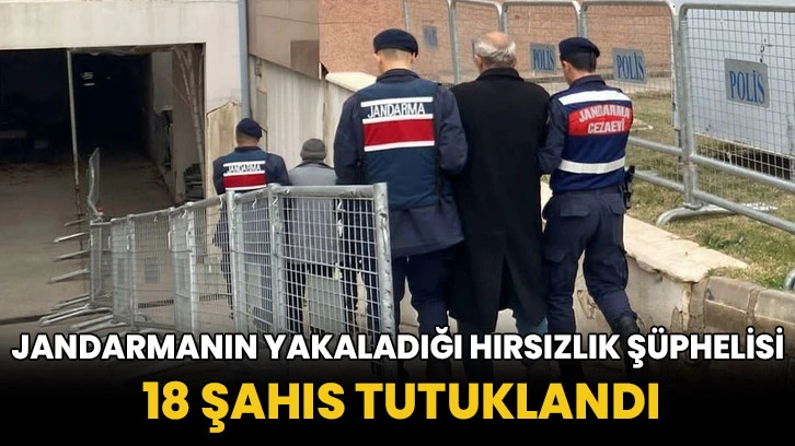 Jandarmanın yakaladığı hırsızlık şüphelisi 18 şahıs tutuklandı