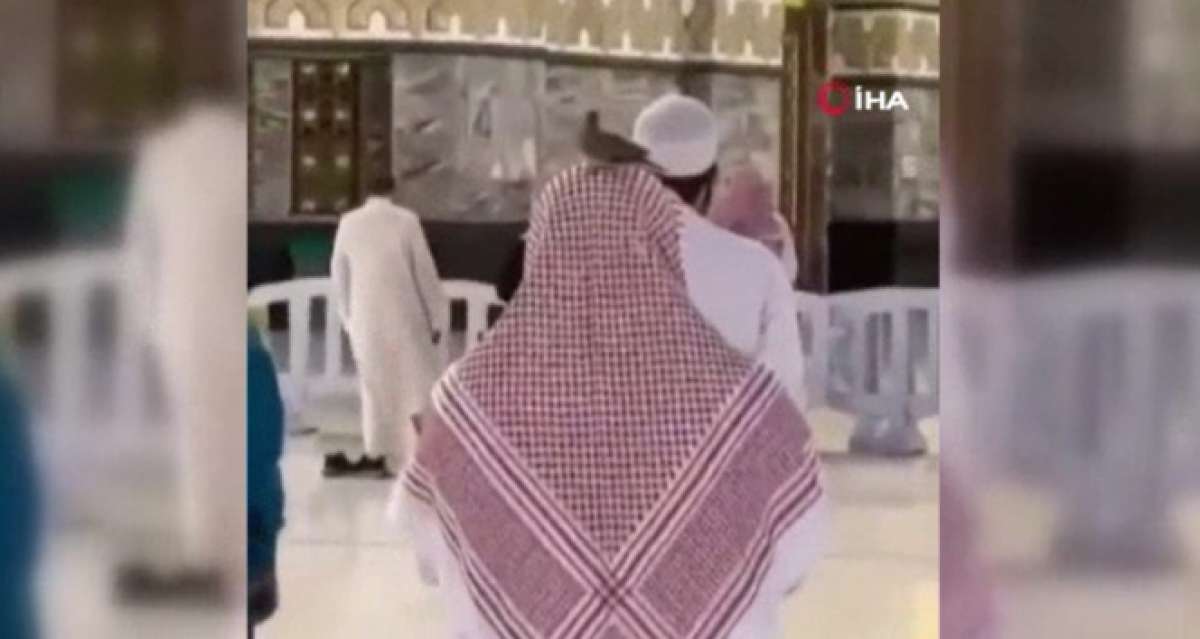 Kabe'de namaz kılan kişinin başından ayrılmayan güvercin herkesi şaşırttı