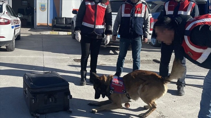 Kaçakçıların naftalinli ve parfümlü zula yöntemi 