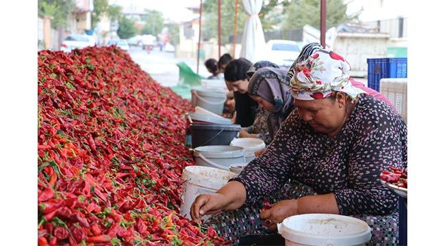 Kadınların 'en acı' mesaisi 