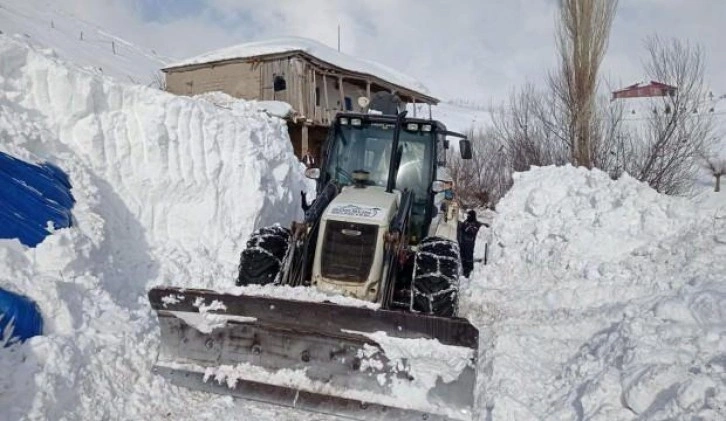 Kahramanmaraş'ta üzerine çığ düşen ahırdaki 40 hayvan kurtarıldı