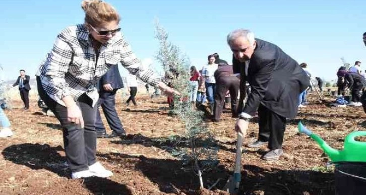 Kampüs alanına 3 yılda yaklaşık 10 bin fidan dikildi