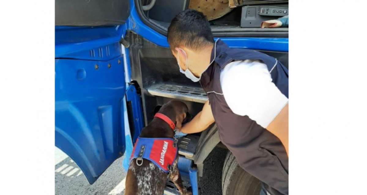 Karabük'te uyuşturucu operasyonu: 3 şüpheliden 1'i tutuklandı