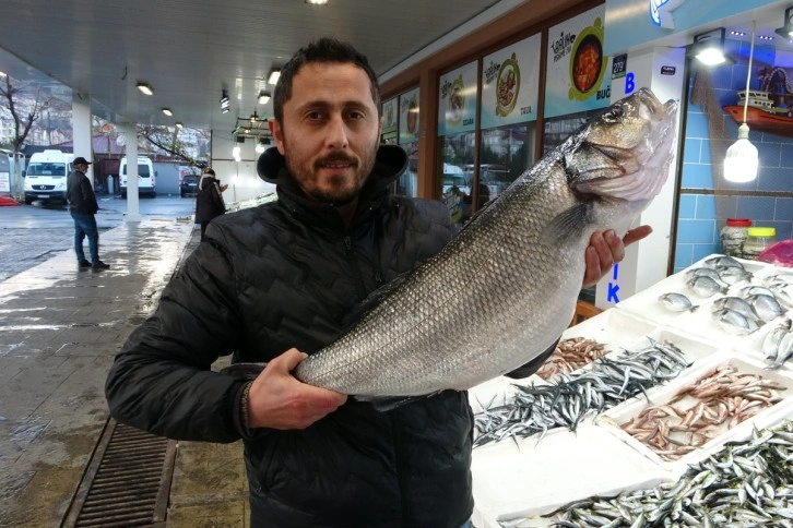 Karadeniz’de yakalanan 8 kiloluk levrek 2 bin liradan tezgahta