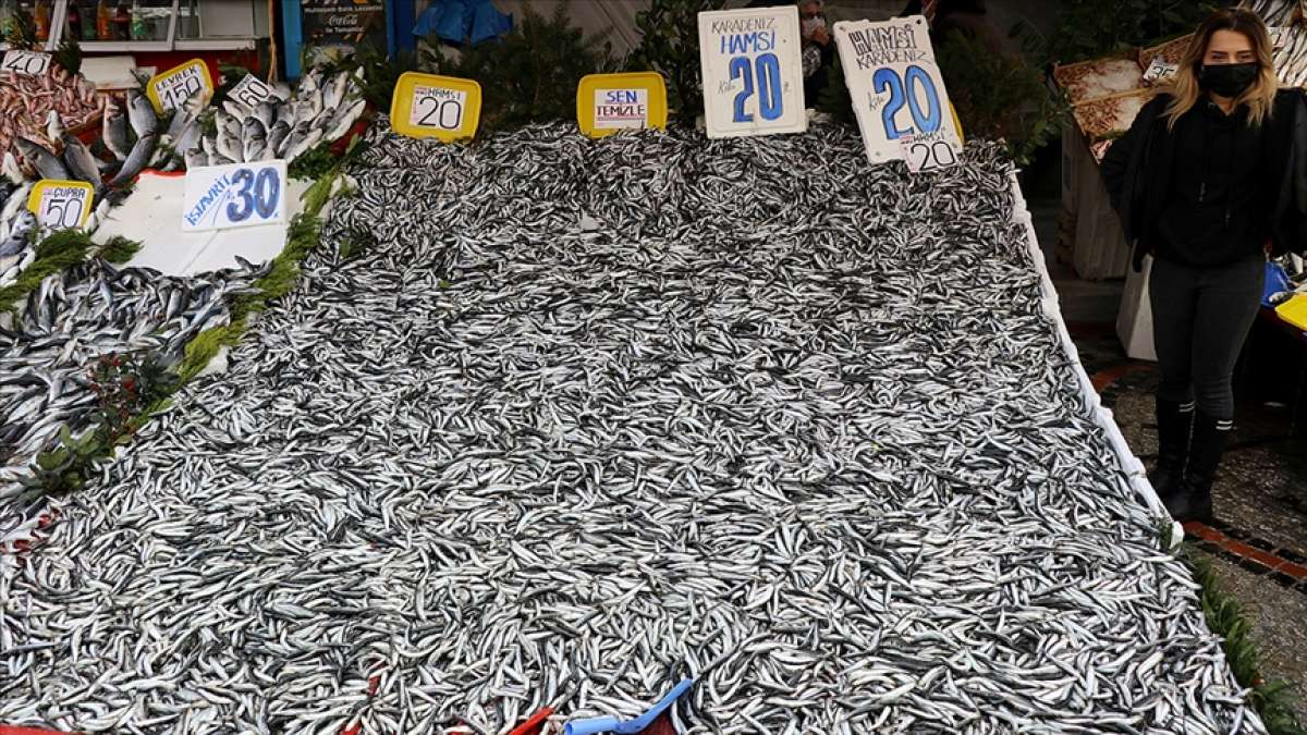 Karadeniz'deki hamsi bolluğu Edirne'deki tezgahları şenlendirdi