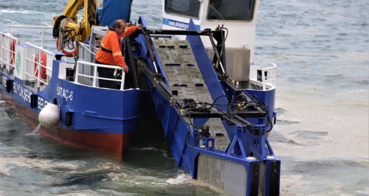 Kartal sahilleri deniz salyasından temizleniyor