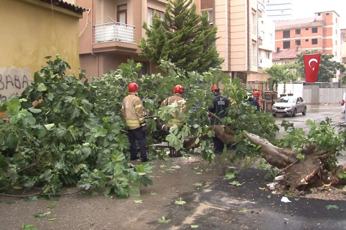 Kartal'da sağanak yağış nedeniyle ağaç devrildi