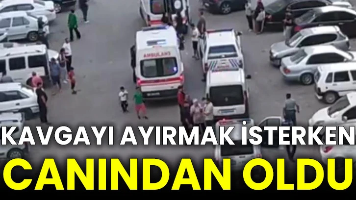 Kavgayı ayırmak isterken canından oldu