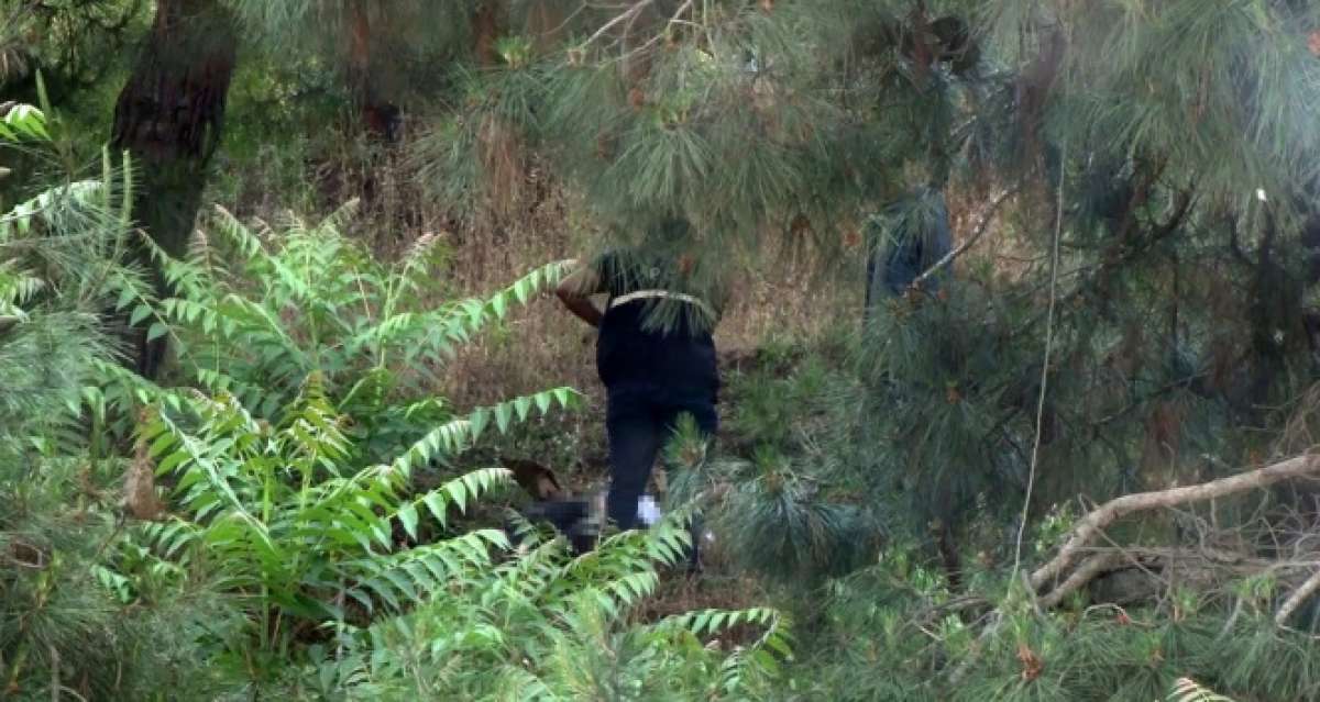 Kayıp adam ağaca asılı halde bulundu