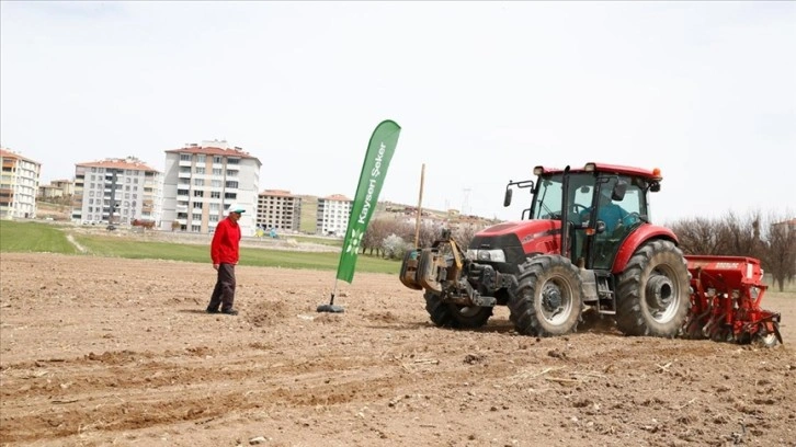 Kayseri Şeker'e bağlı çiftçiler bu yıl 500 bin dekar alana şeker pancarı ekecek