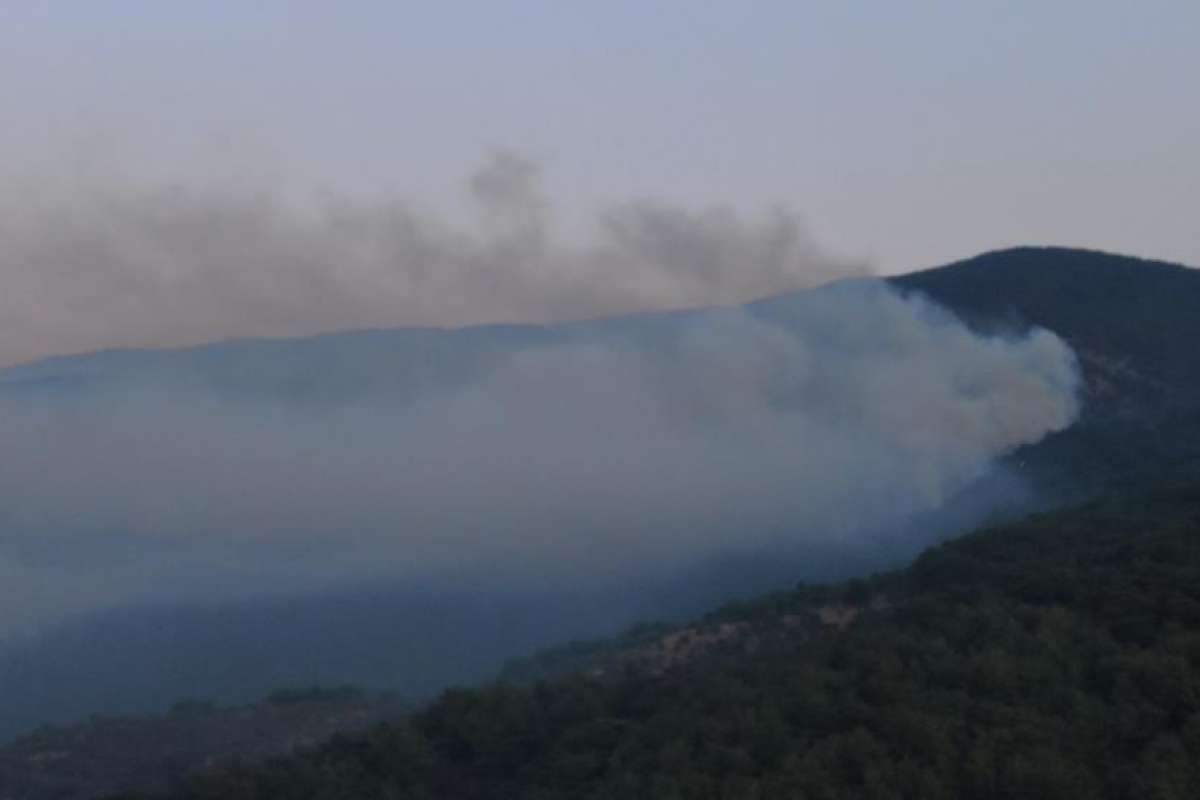 Kazdağları'ndaki yangın söndürme çalışmaları sabah saatleri itibariyle devam ediyor