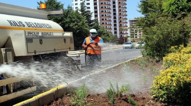 Kilis'te park refüj ve bulvarların bakımları yapılıyor